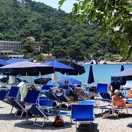 With A Parking Space - 22654 Apartman Dubrovnik